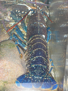 DSCN5332.JPG