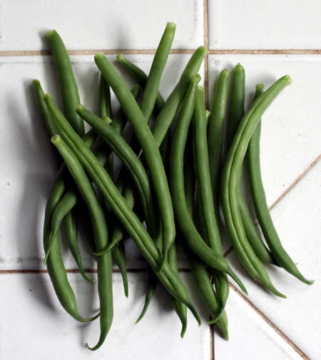 First garden green beans of the year