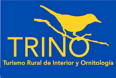 Proyecto Trino