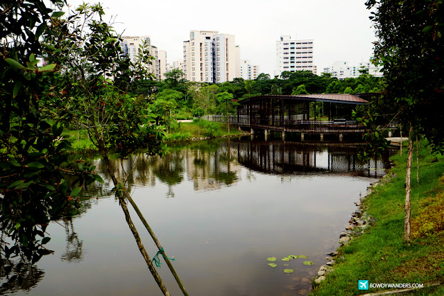 bowdywanders.com Singapore Travel Blog Philippines Photo :: Singapore :: Jurong Eco-Garden: The Next Most Instagrammed Park in Singapore