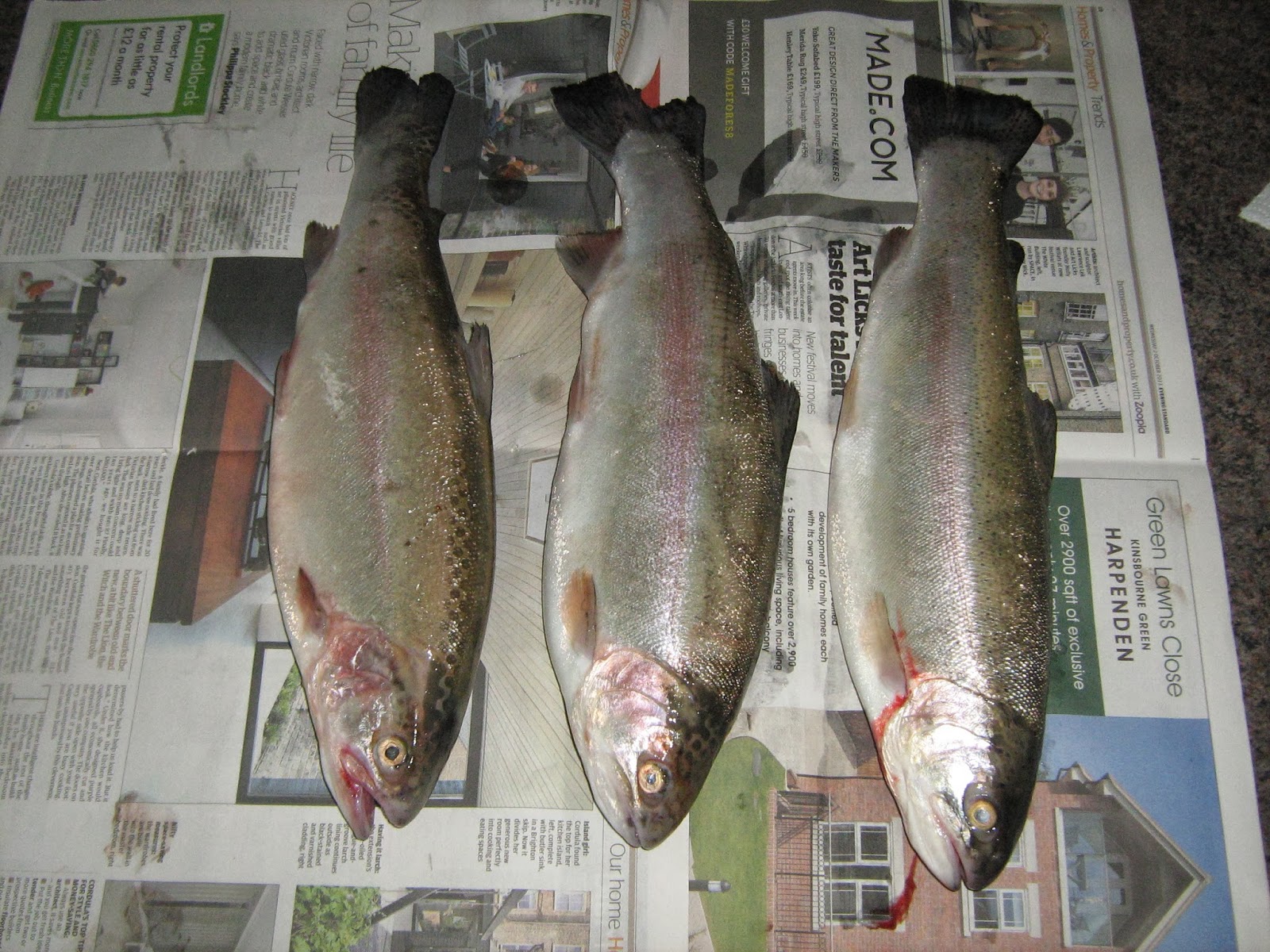 Breaking Rods How to cook a wonderful trout meal without having to gut