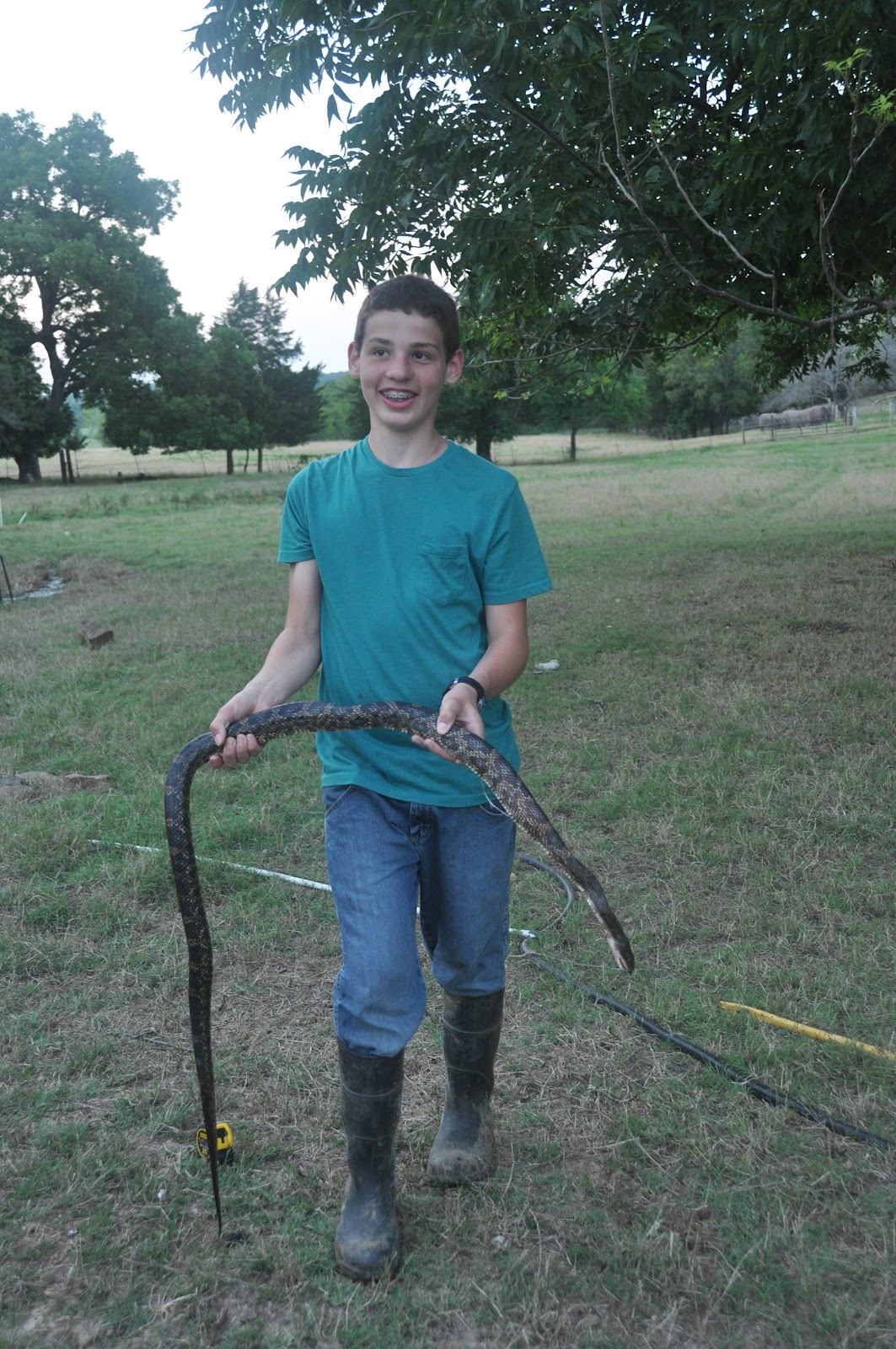 Carel Chronicles: Jake & the snake