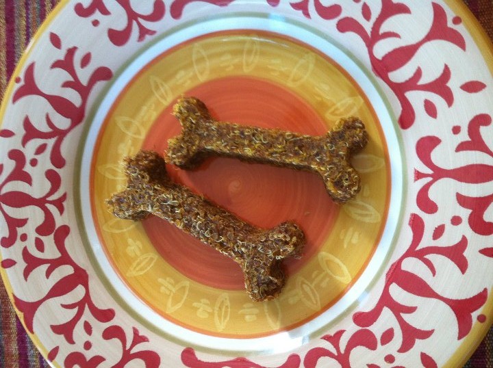 Tasty Tuesday Quinoa & Pumpkin Dog Treats Kol's Notes
