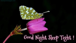good night sleep tight images