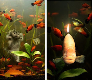arte digital pez