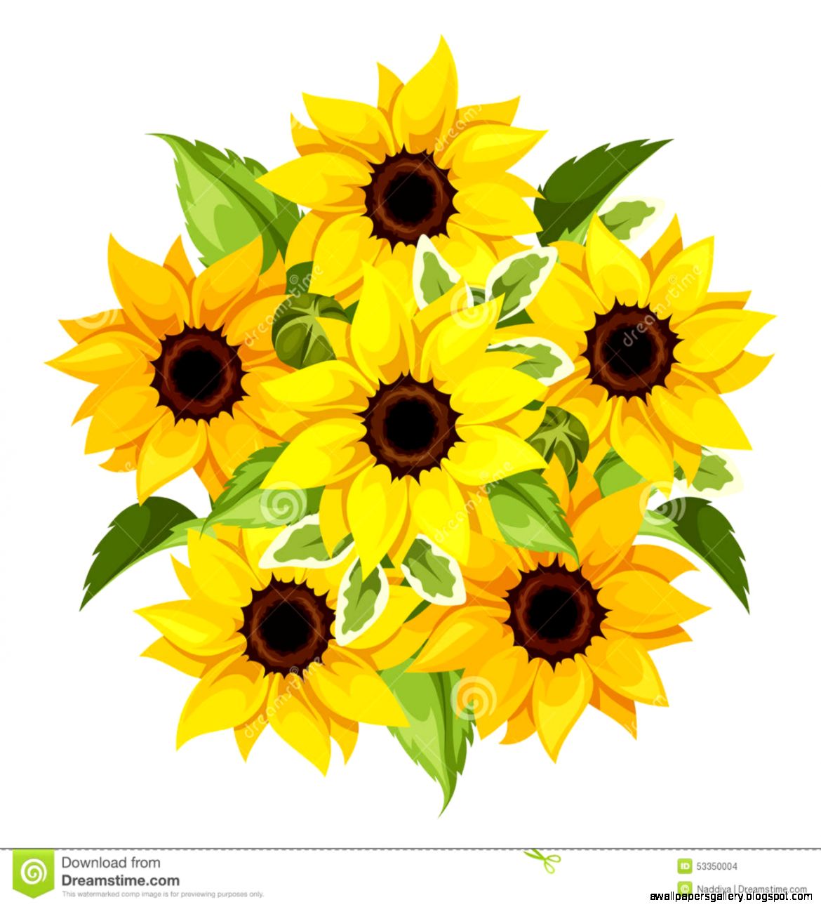 Sunflower Vector Illustration | Wallpapers Gallery