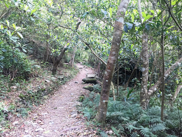 lushui trail taroko gorge taiwan