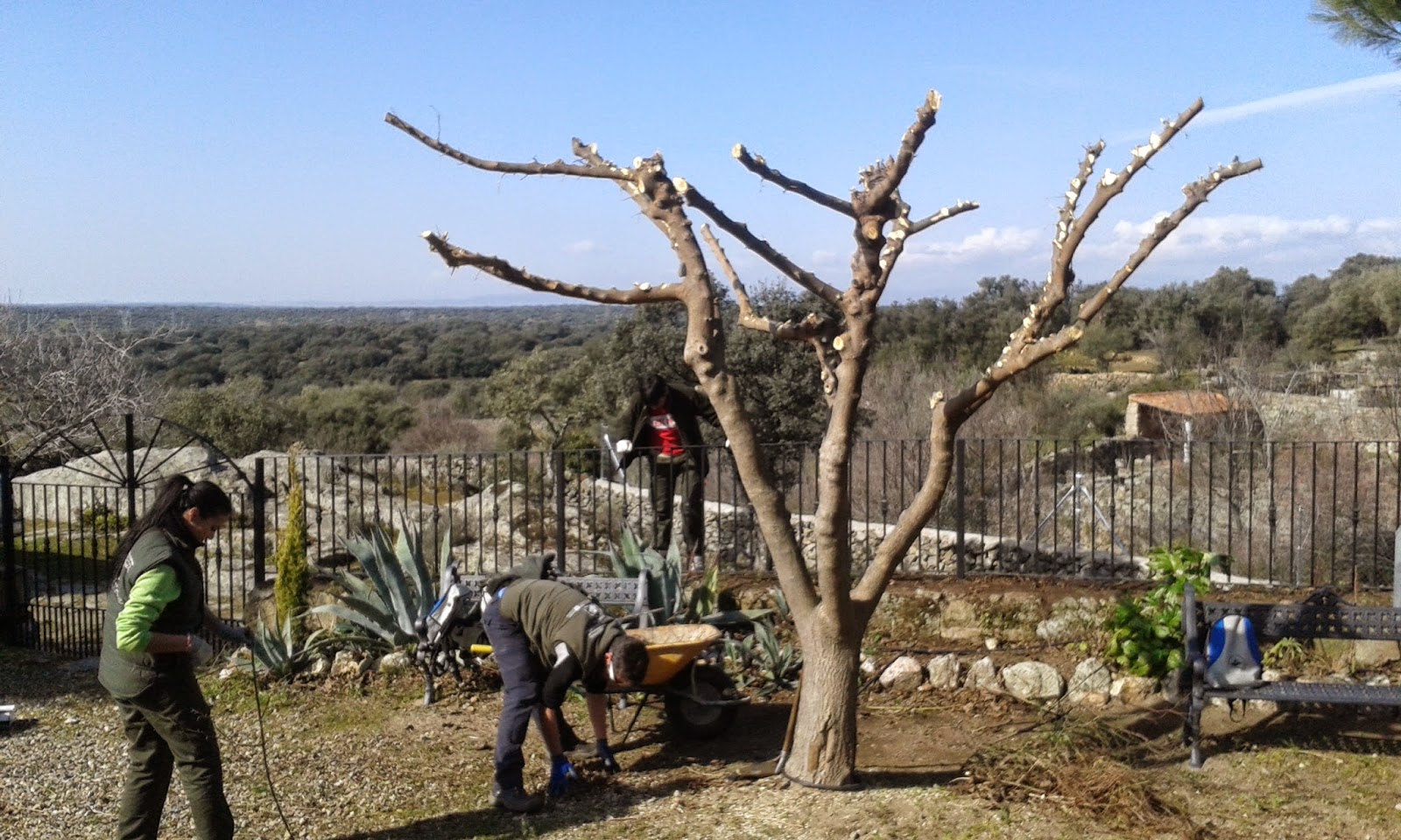 Aprendizext El Pantano Jardinería
