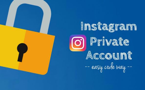 Cara Melihat Instagram Private Tanpa Harus Follow Jalan Kucing