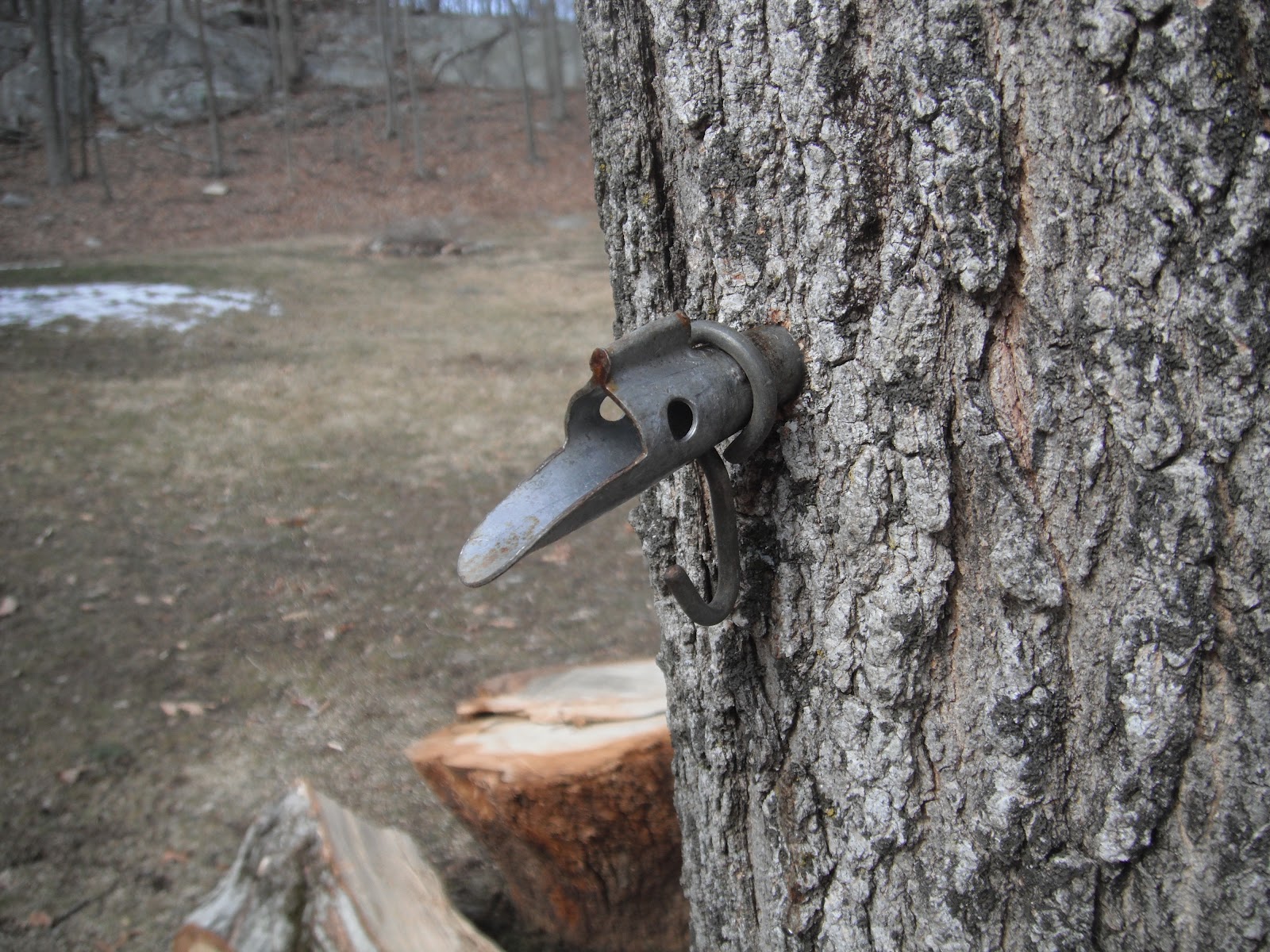 Describe Happy A Tree Tapping Good Time