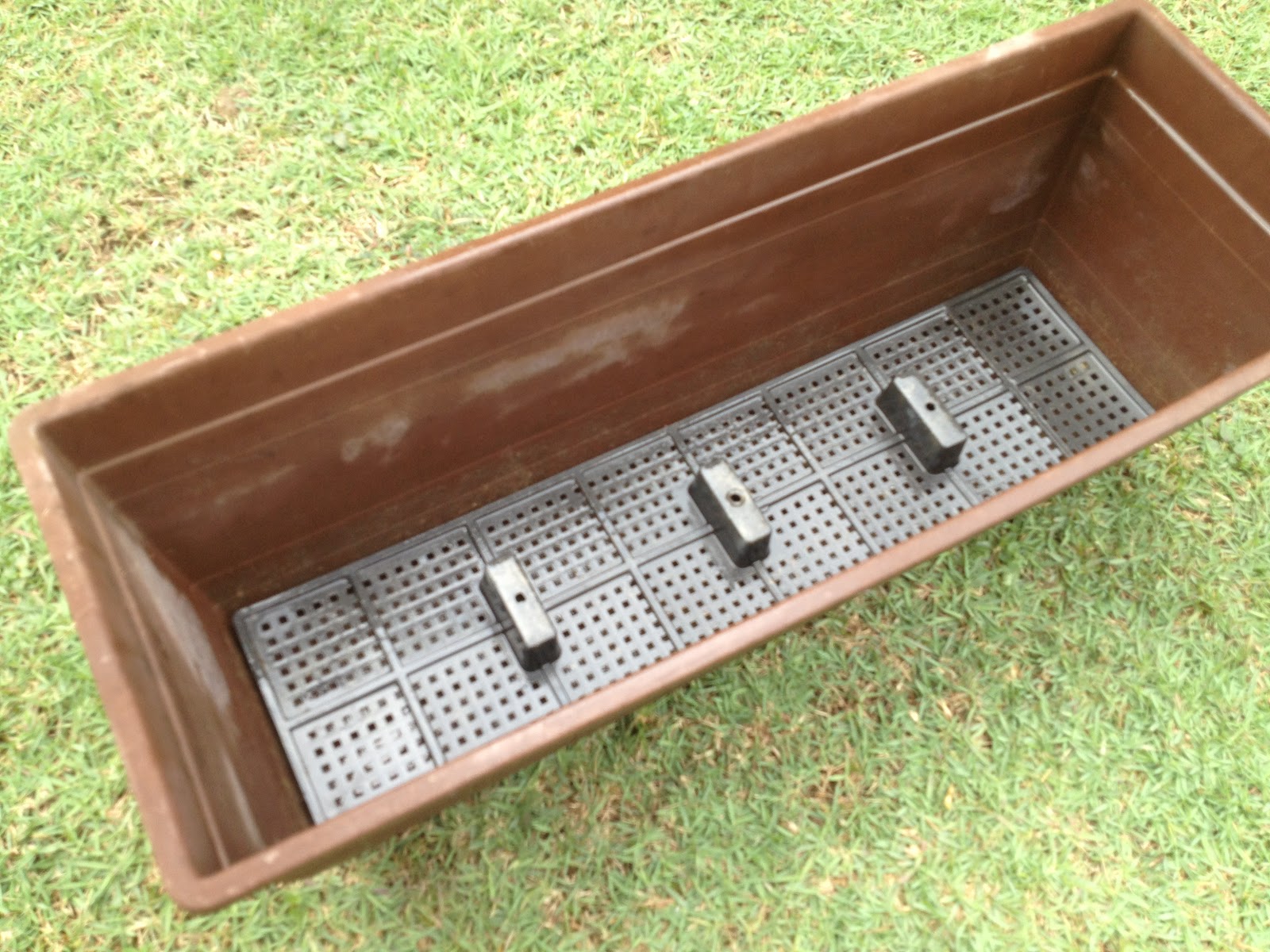 My Home My Garden My Rules starting small in a