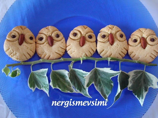 nergismevsimi BAYKUŞ KURABİYE