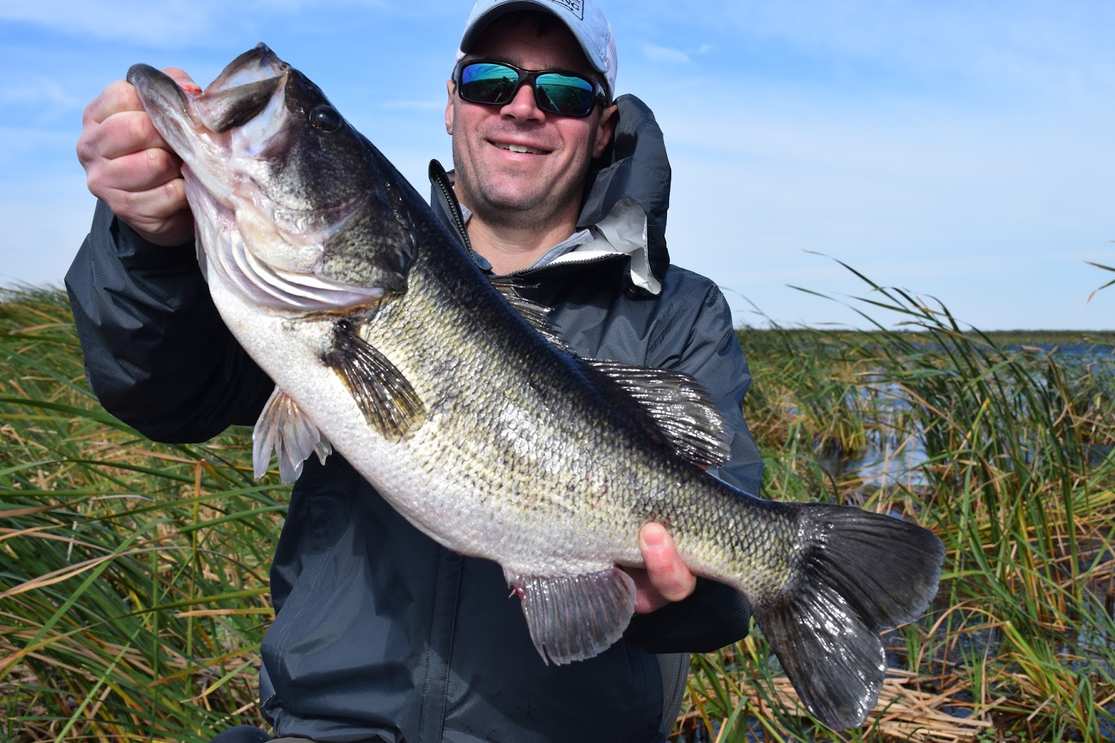 Another Okeechobee Trophy goes for a wild shiner! – Lake Okeechobee Bass  Fishing - Fishing Guides