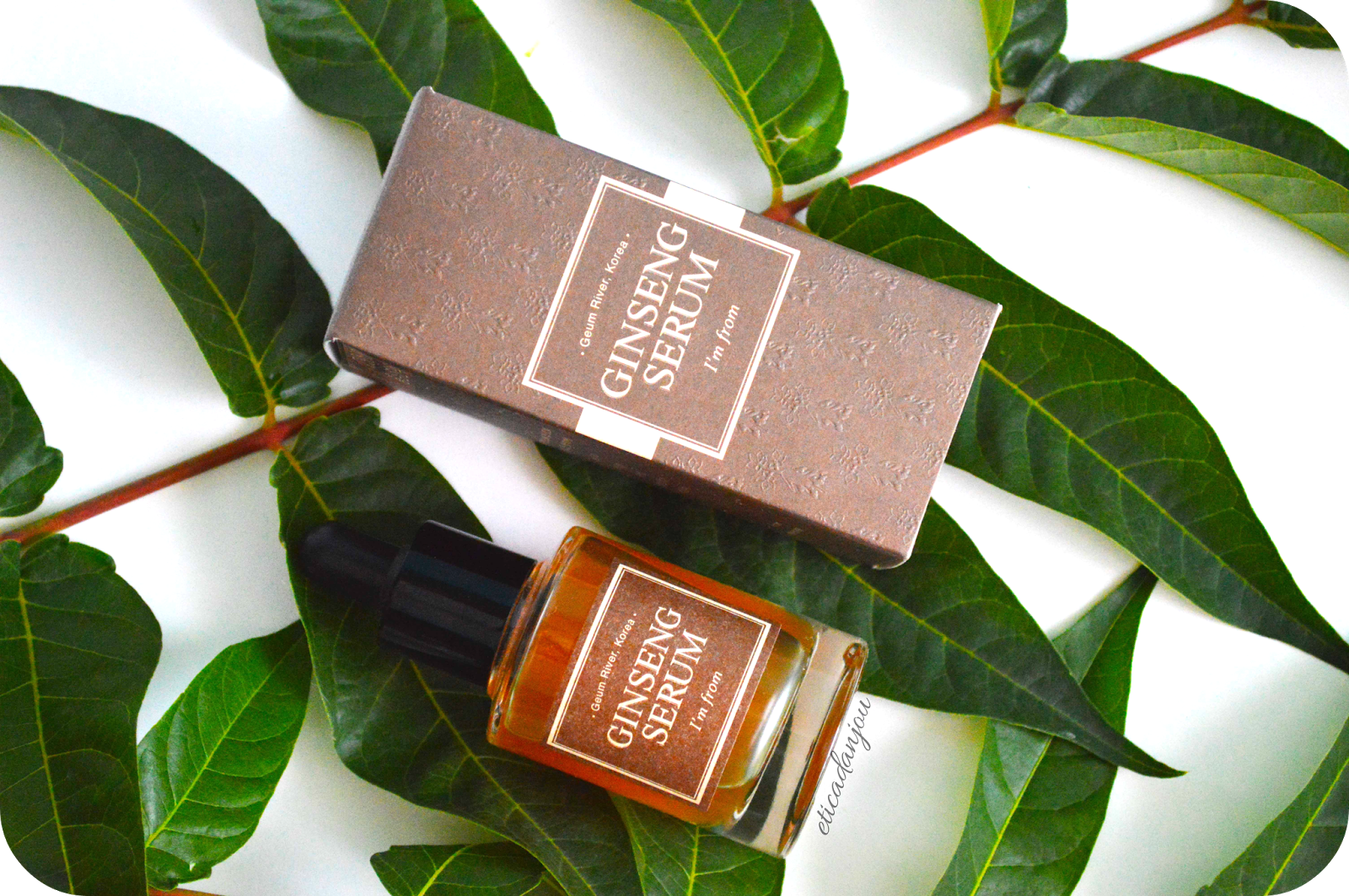 Cosmética d Anjou I'm From Ginseng Serum Review