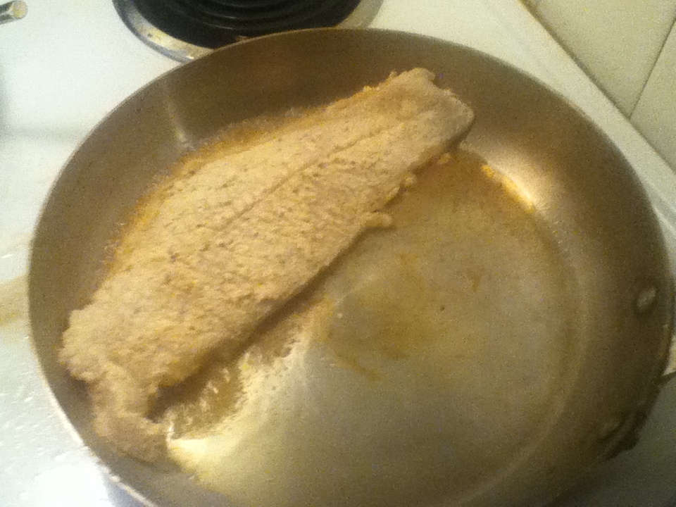Primal Homeskillet Pan Fried Coconut Catfish
