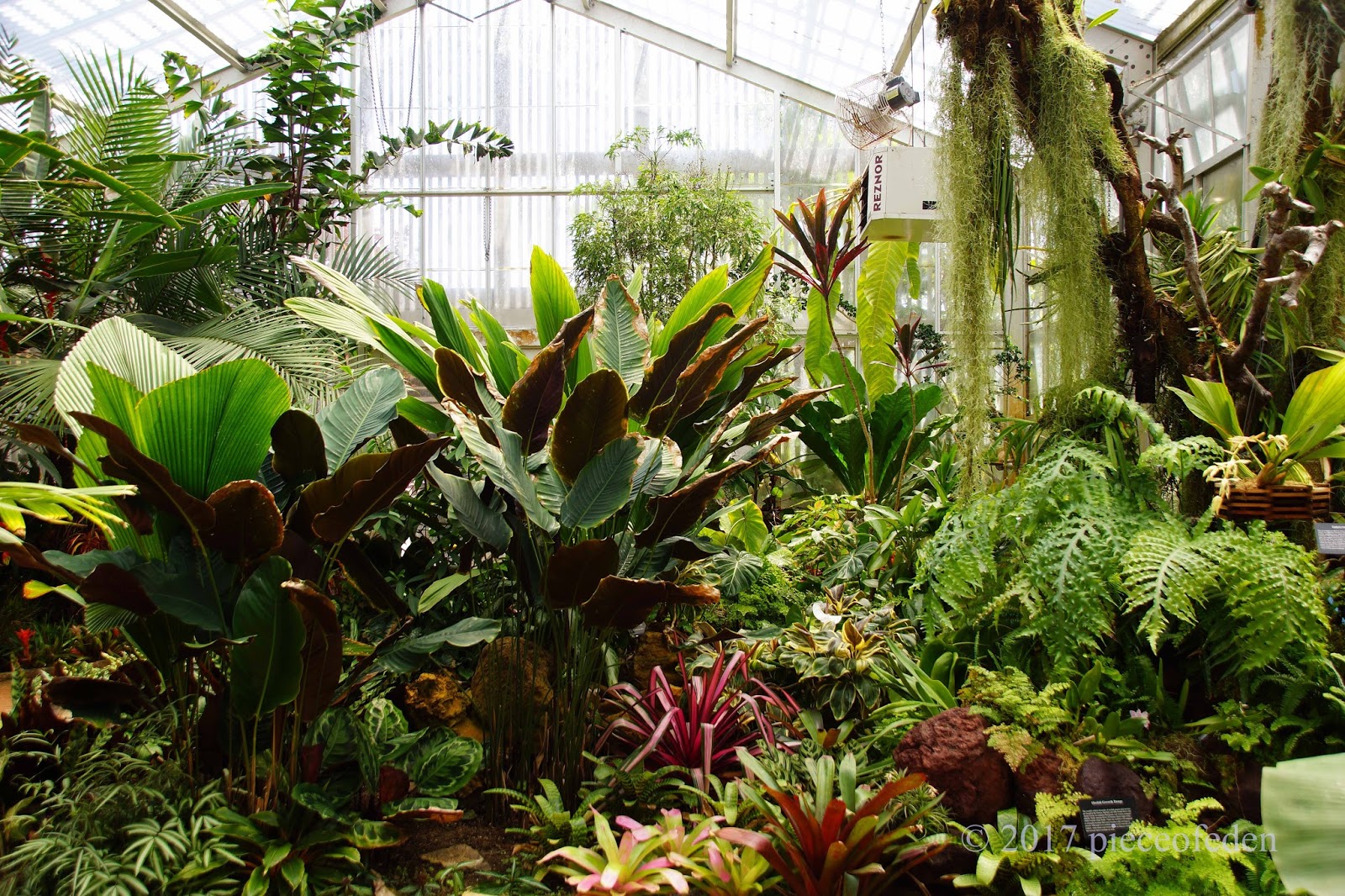 Sherman Garden�s Lush Tropical Greenhouse