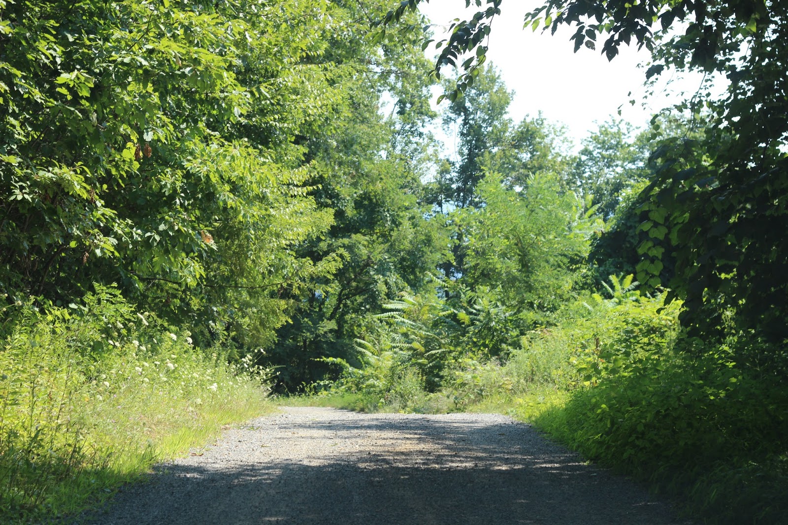 Discovery PA The Grey Spector of Ridge Road