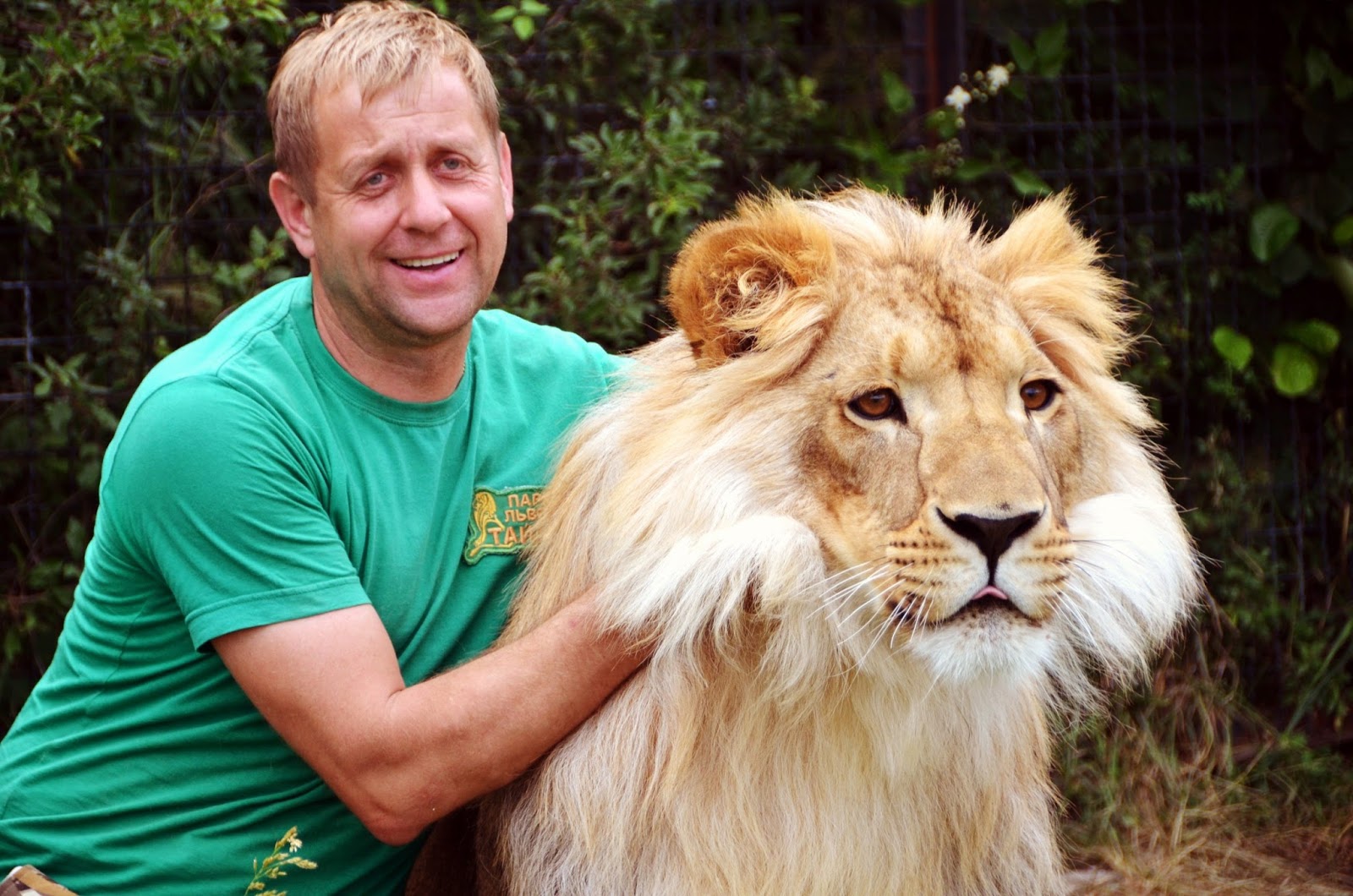 Олег зубков тайган. Олег зубков парк львов. Зубков директор тайгана. Олег зубков тайган зоопарк. Парк тайган олег зубков.