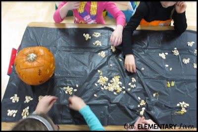 counting pumpkin seeds