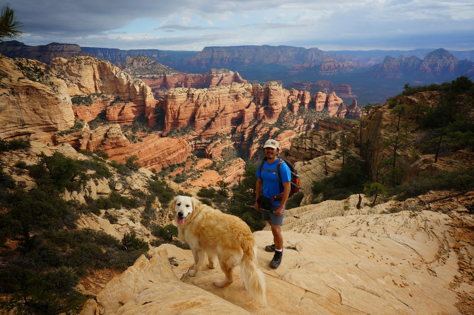 Hiking with Dogs Companion Site Hiking with Dogs in Sedona