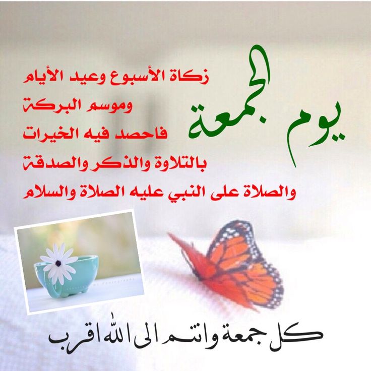 996544f8642f5baf731a6a918e3eacbe