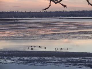 www.mylifewithphotographs.com