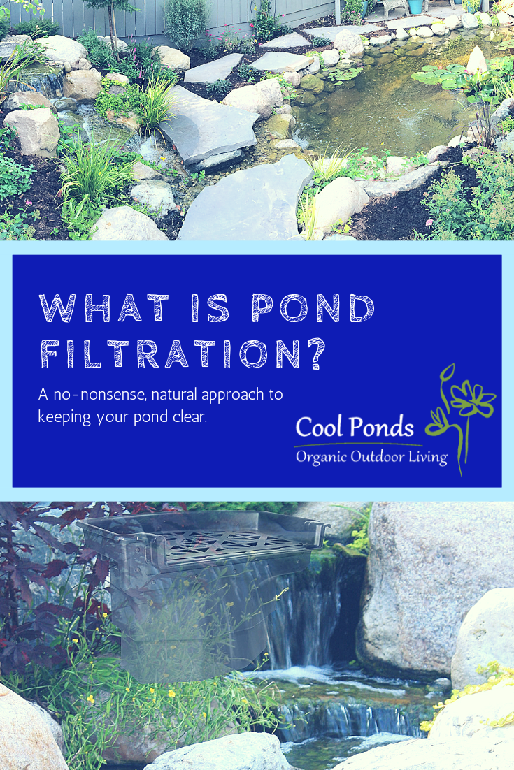 What Exactly Is Pond Filtration?