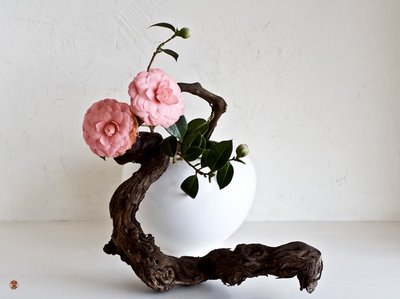 Kit 13 Pezzi Per Ikebana E Composizioni Floreali - Kenzan, Forbici, Fili E Accessori - Foto 5