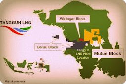 BP Tangguh Percepat Pembangunan Energi Listrik di Papua Barat