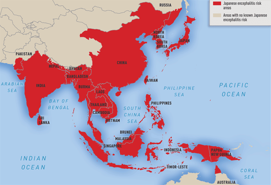 Epidemiologi Re Emerging Japanese Encephalitis ~ Health and Daily