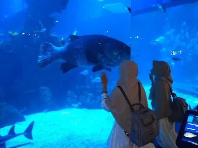 Mengunjungi Jakarta Aquarium Neo Soho