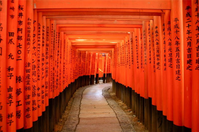 Backpacker ke Fushimi-Inari Shrine di jepang