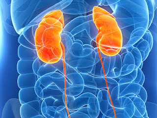 Chronic kidney disease increasing States
