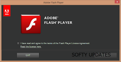 Adobe Flash Player 32.0.0.101