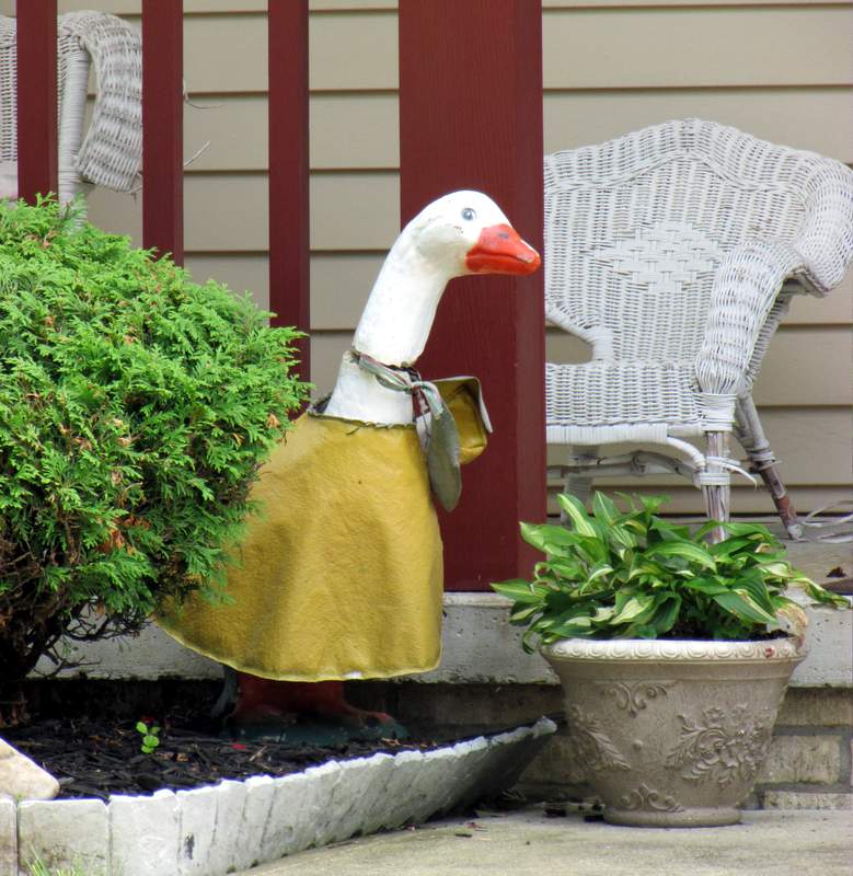 a slavonic quijote in america more porch geese
