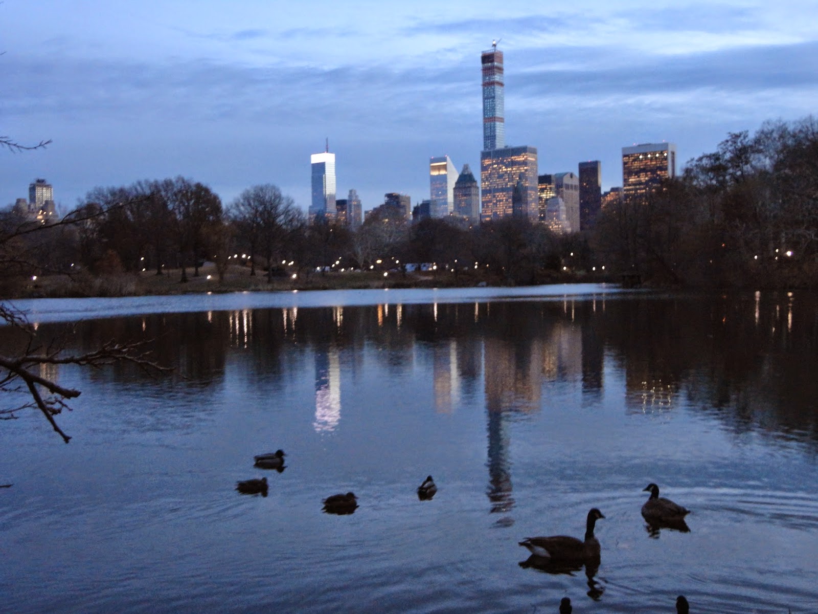 MSLC Atardercer desde el parque . lagobosqueroca . New York