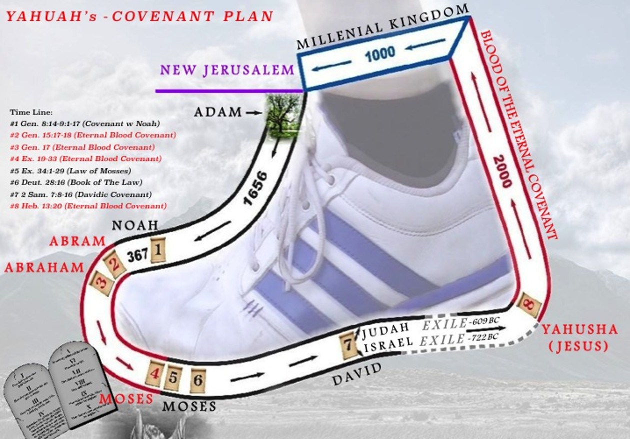 Blood of the Eternal Covenant: The 7 Trips of Moses on Mount Sinai