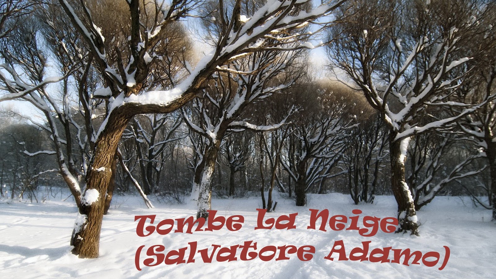 (Free) Citation Sur La Neige Qui Tombe