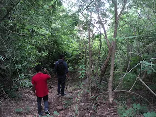 Hikers make way through the thickets in the forest at the Bananthi mari betta trek near Kanakpura