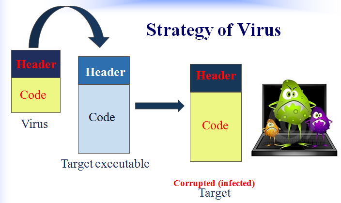 Digital Lessons: Basic Lesson about Computer Virus.