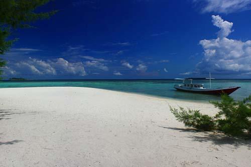 Wisata Bawah Laut di Indonesia