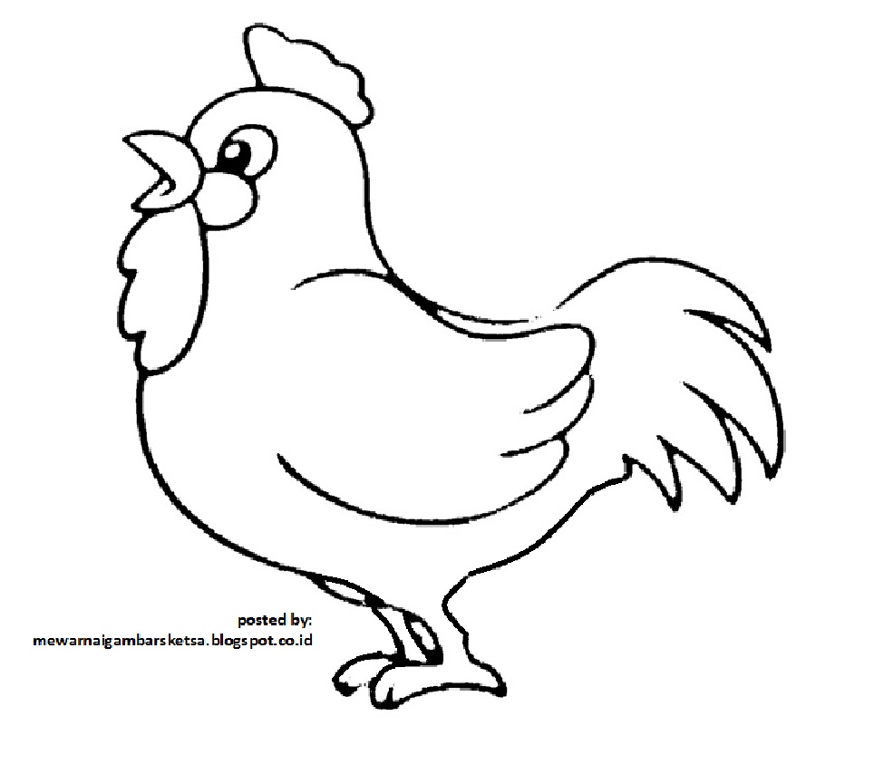 Download Sketsa Gambar Hewan Anak Ayam Aliransket