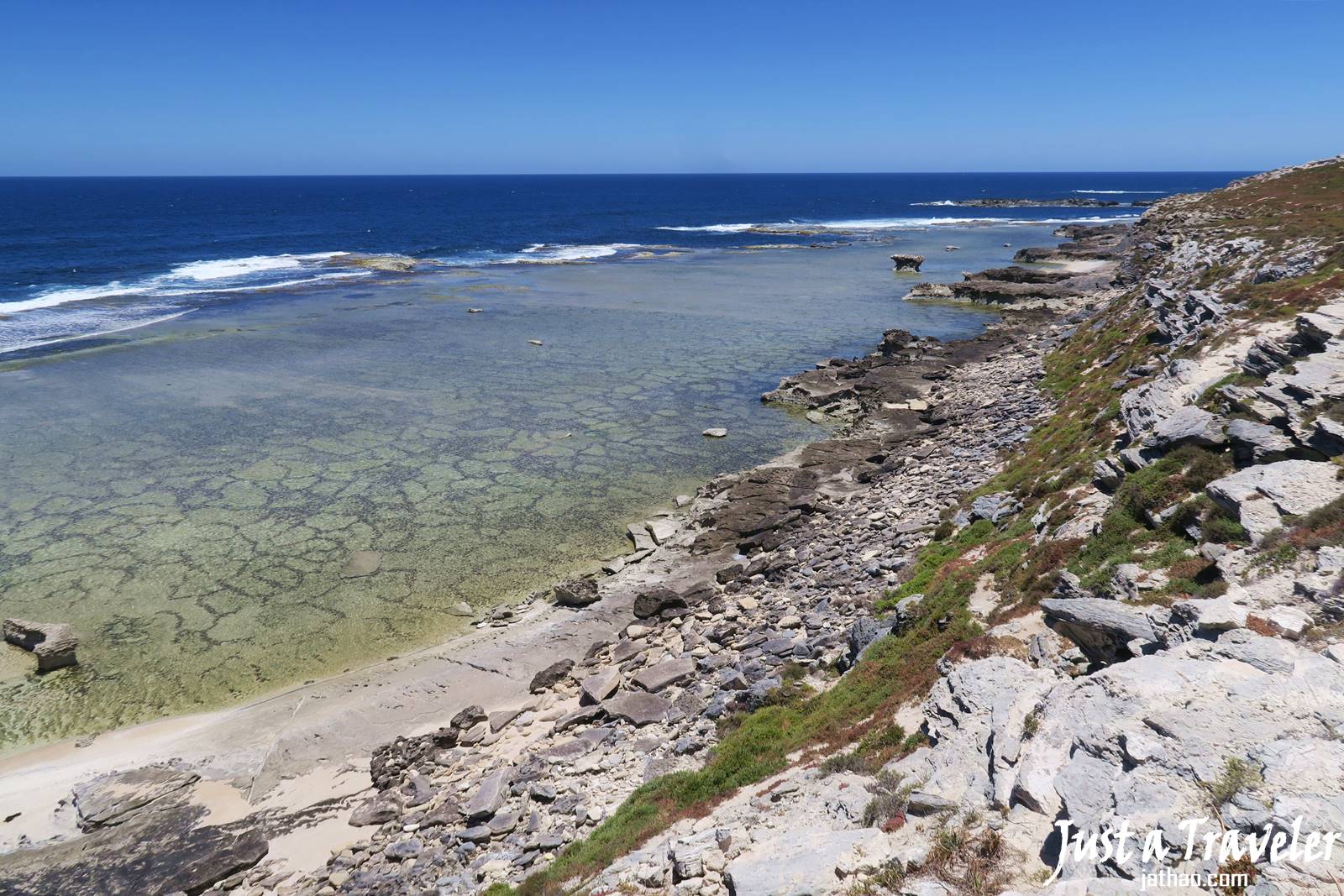 澳洲-西澳-伯斯-景點-羅特尼斯島-Rottnest Island-賞鯨-推薦-自由行-交通-旅遊-遊記-攻略-行程-一日遊-二日遊-必玩-必遊-Perth