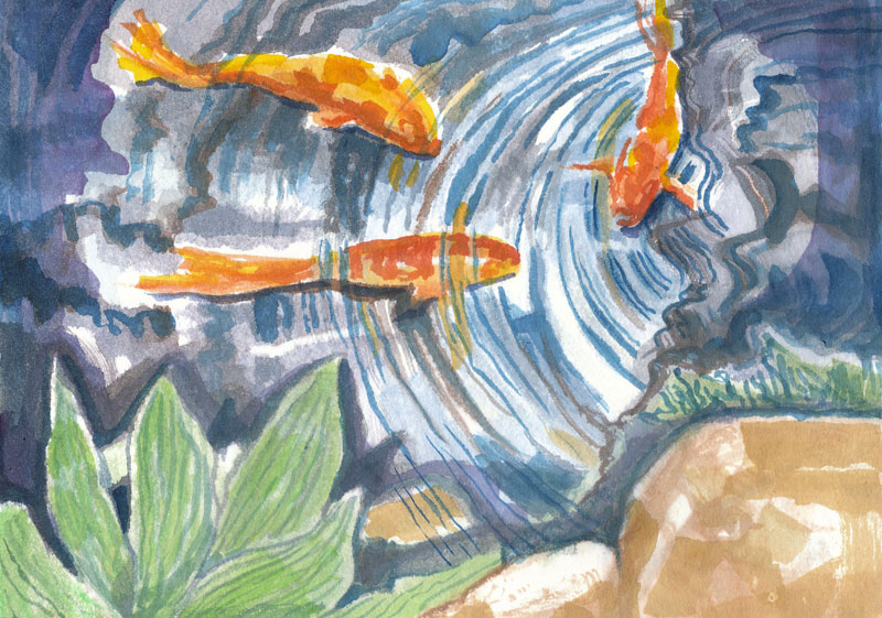 colorful-shadows-in-watercolor-koi-pond-sketch.jpg