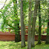 The Smith House by Frank Lloyd Wright in Bloomfield Hills, Michigan
(click here for more info)