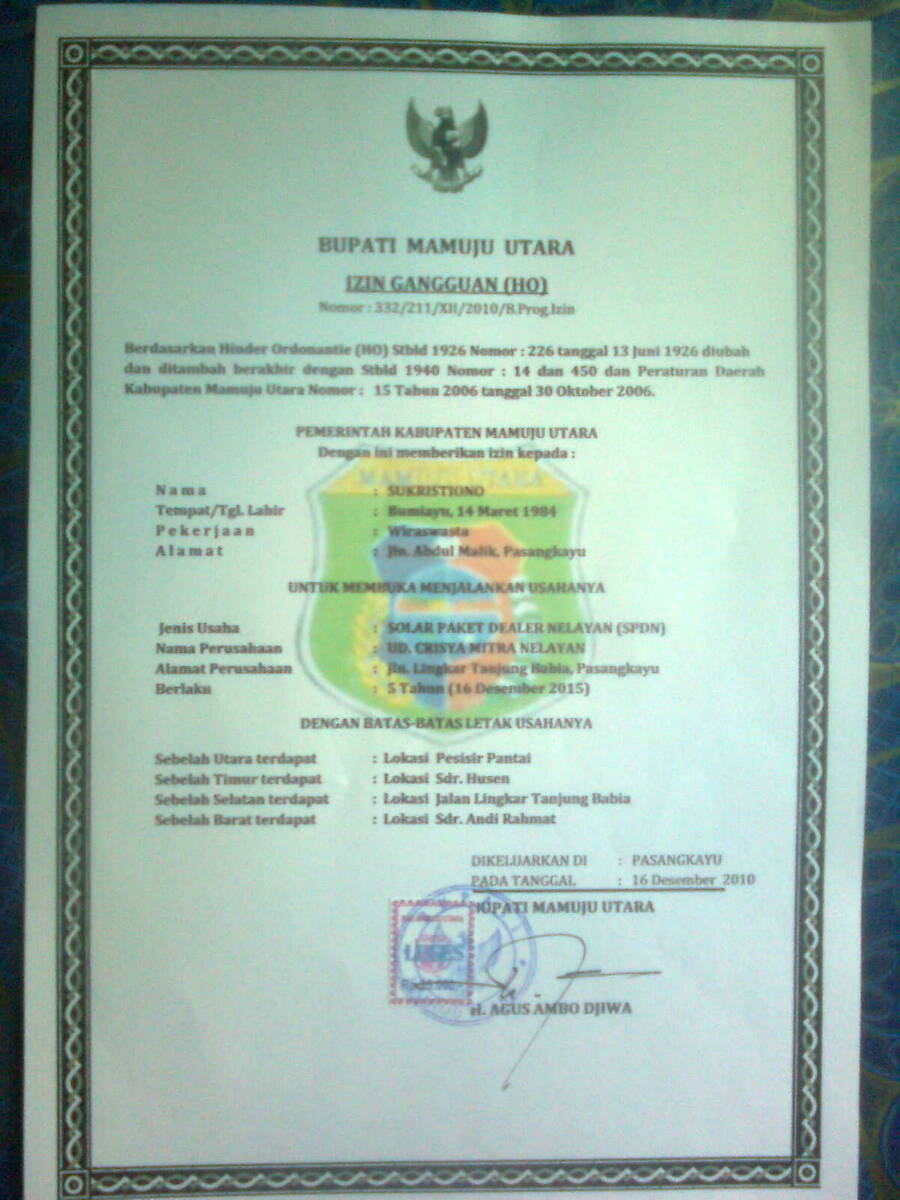 Dyaz Sofyandi: Softcopy