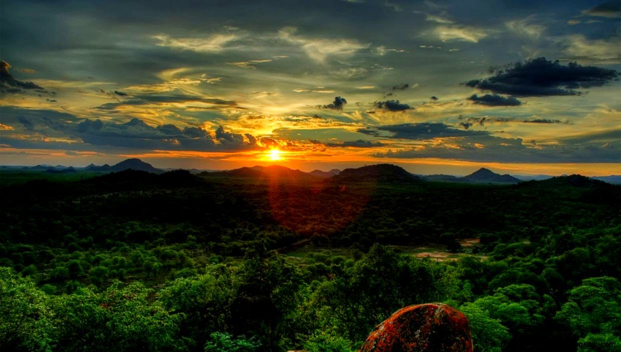 Forest Sunsets High Quality Sunset Clouds Landscapes Nature Hills