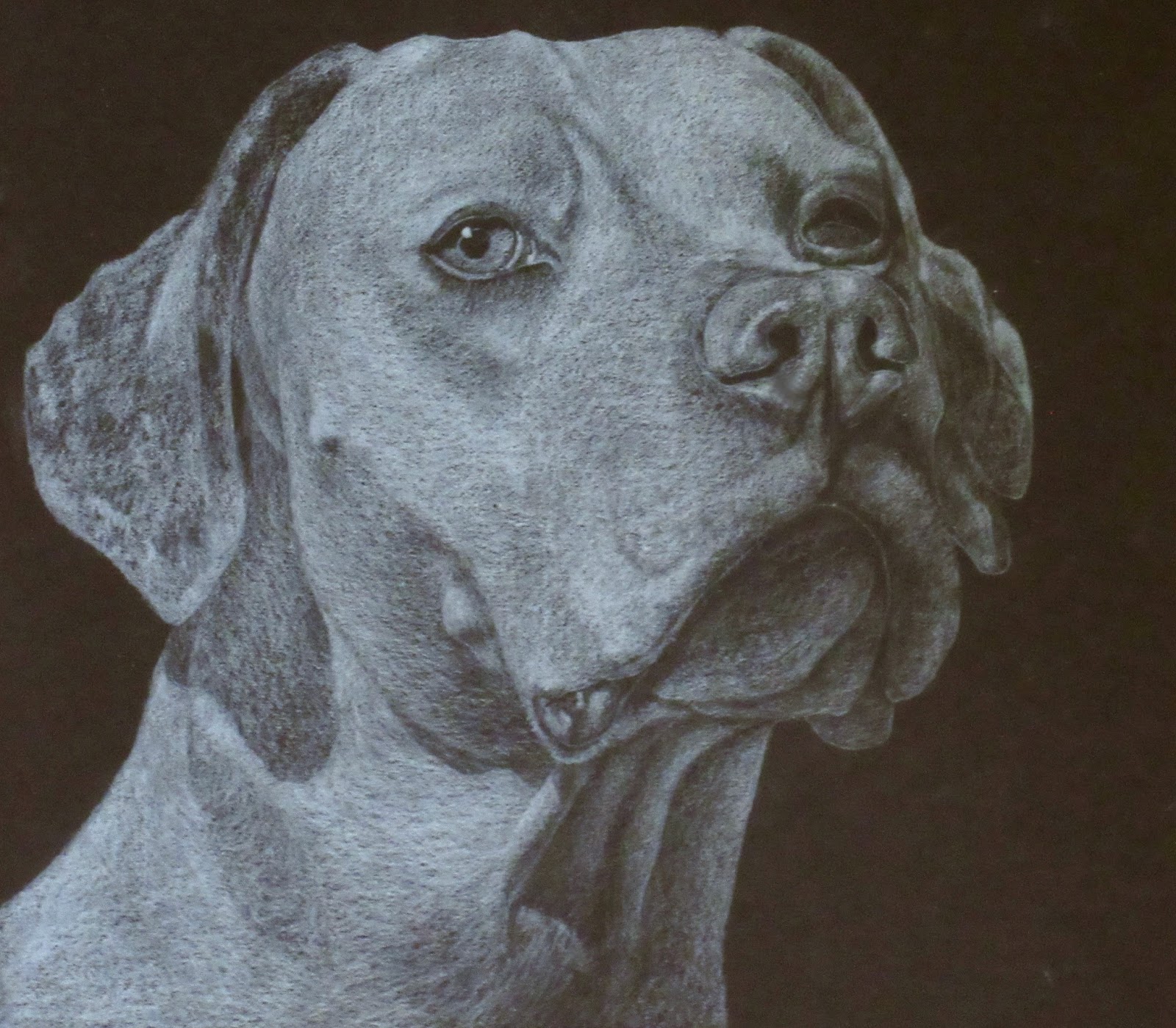 Kate S Classes Bal Colored Pencil Animals June 2017