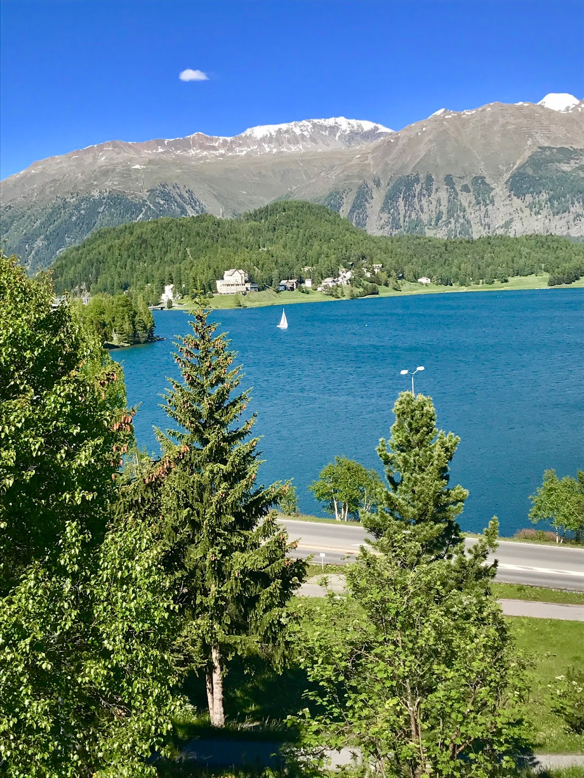 A Tender Reed He Will Not Break