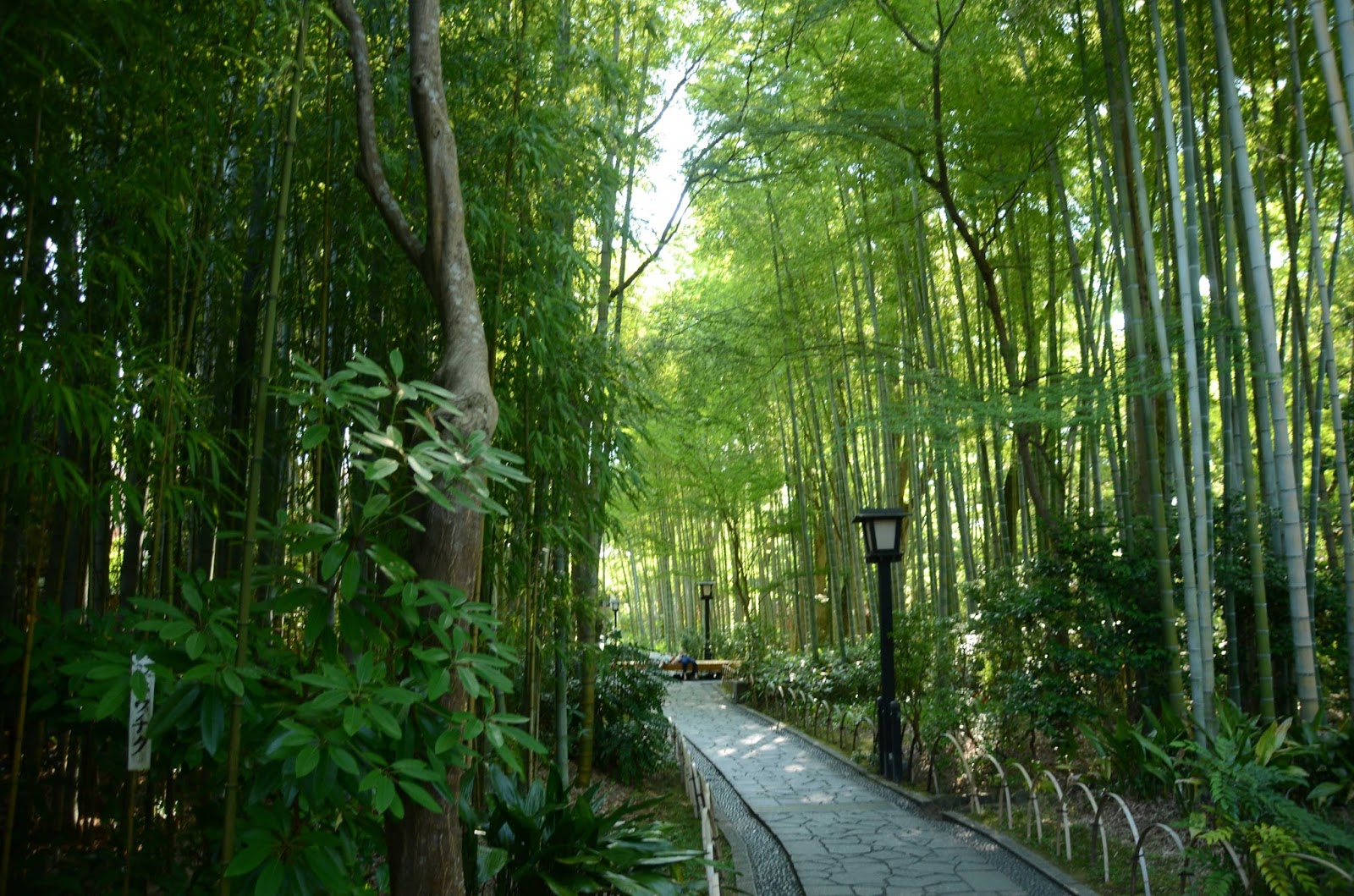 修善寺悠閒一天遊 感受伊豆裡的小京都